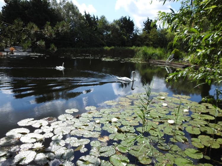 Genieten aan het water